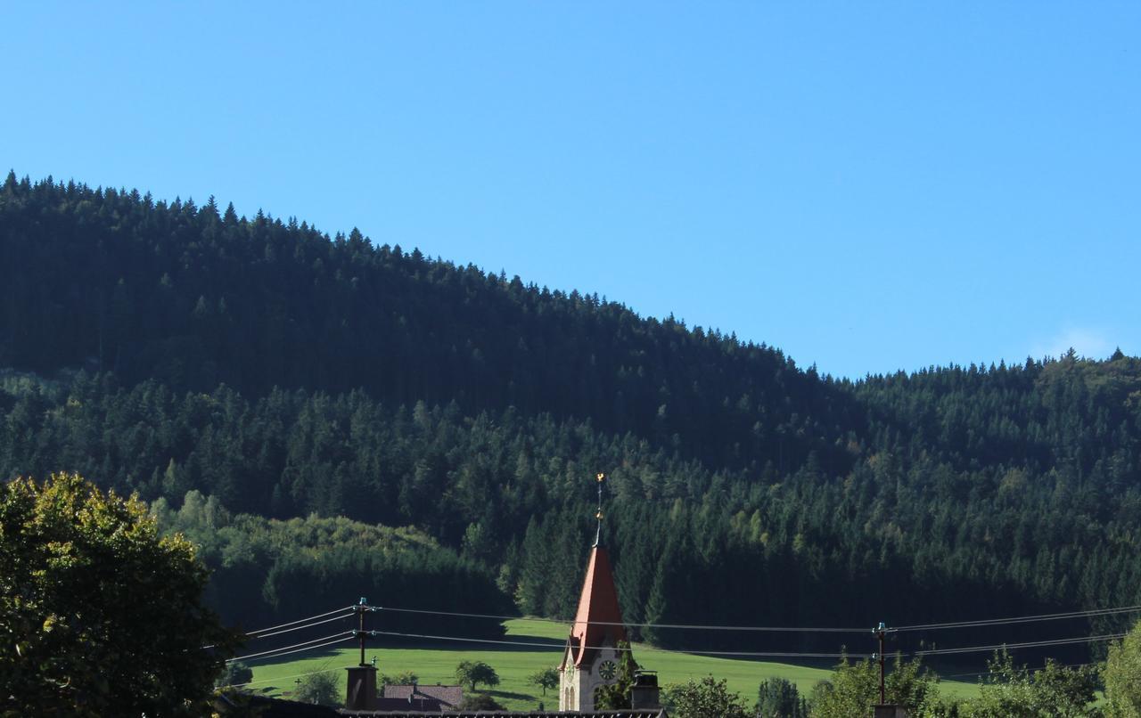 Hotel Heuberger Hof, Wehingen エクステリア 写真